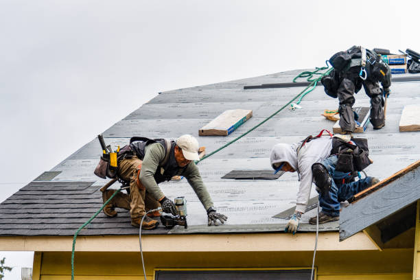 Professional Emergency Roof Repair technician working in Lakeside, MT